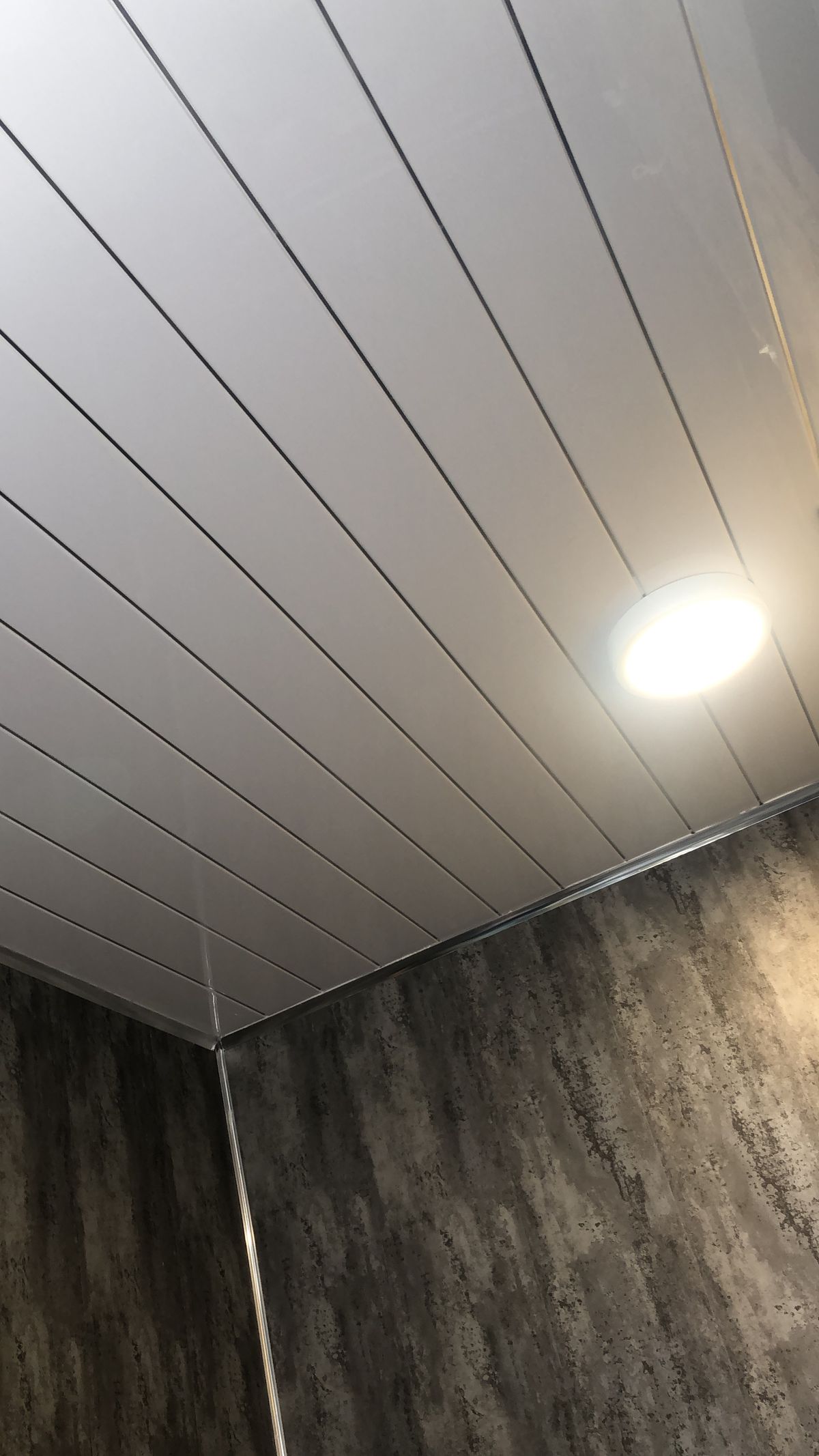 Perimetral pecho paloma Blanco Linea plateada