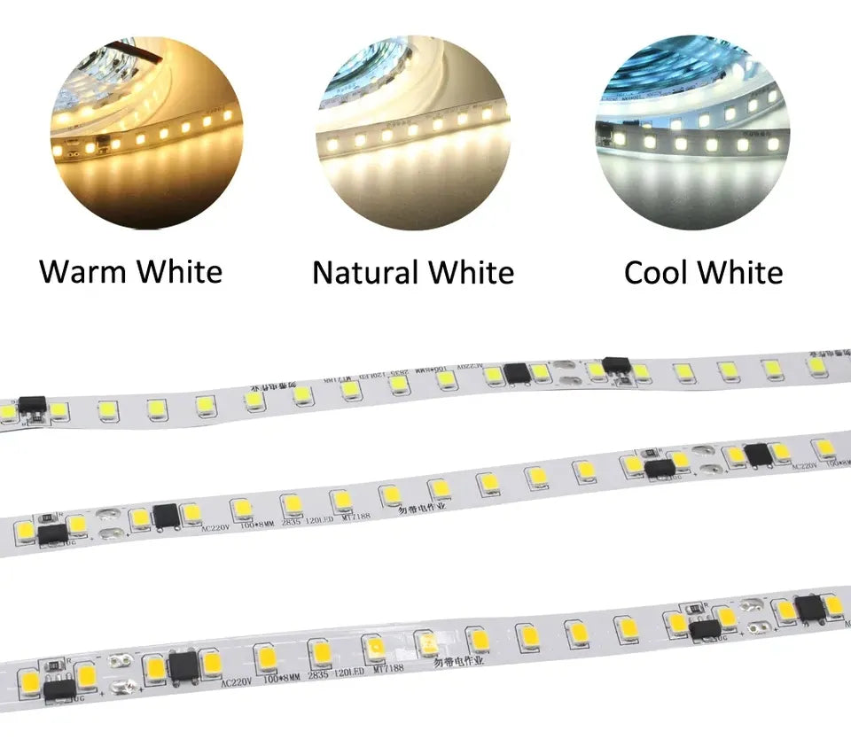 Cinta Led 120 Leds/metro 110v Ip20 Rollo X 10 metros de largo